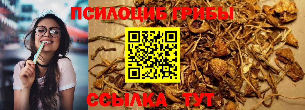 Алушта  Псилоцибиновые грибы ЛСД  Вход с VPN 
